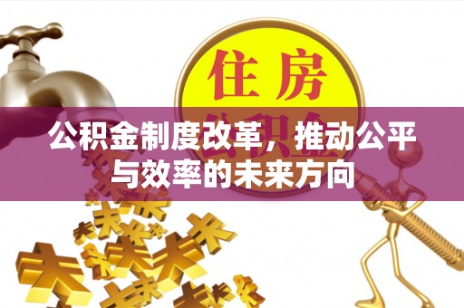 辛集公积金制度改革，推动公平与效率的未来方向
