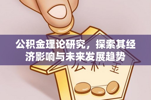辛集公积金理论研究，探索其经济影响与未来发展趋势