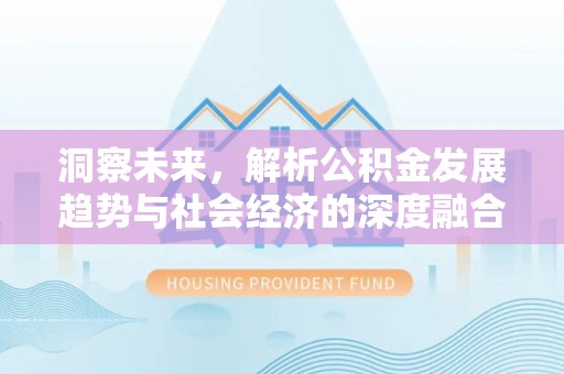辛集洞察未来，解析公积金发展趋势与社会经济的深度融合