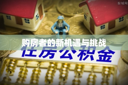 辛集购房者的新机遇与挑战