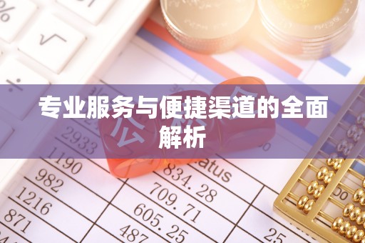 辛集专业服务与便捷渠道的全面解析