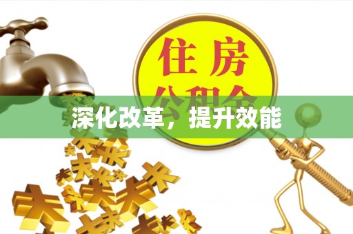 辛集深化改革，提升效能