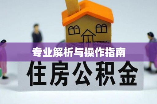 辛集专业解析与操作指南