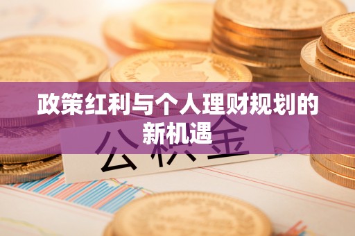 辛集政策红利与个人理财规划的新机遇