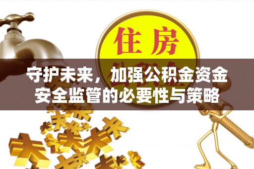 辛集守护未来，加强公积金资金安全监管的必要性与策略