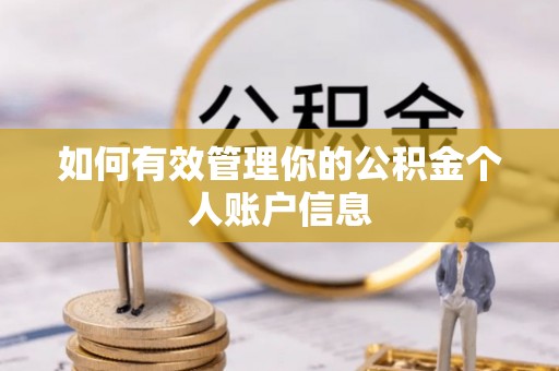 辛集如何有效管理你的公积金个人账户信息