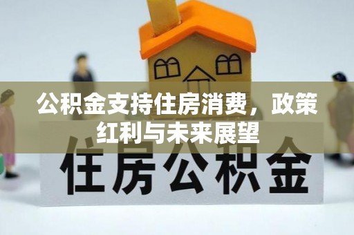 辛集公积金支持住房消费，政策红利与未来展望