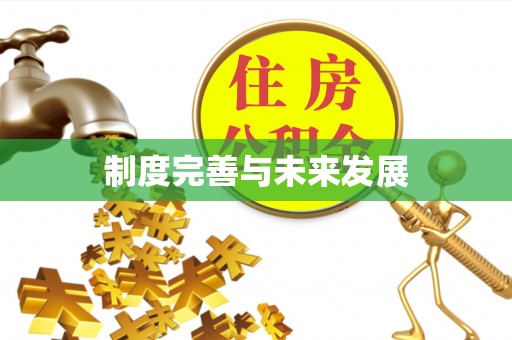 辛集制度完善与未来发展