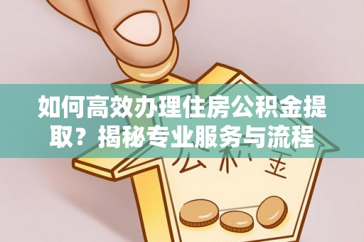 辛集如何高效办理住房公积金提取？揭秘专业服务与流程