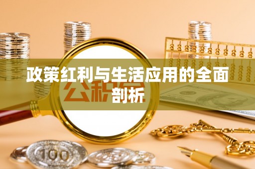 辛集政策红利与生活应用的全面剖析