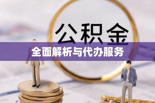 辛集全面解析与代办服务