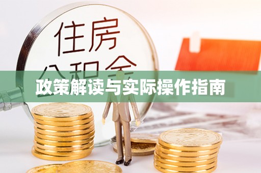 辛集政策解读与实际操作指南