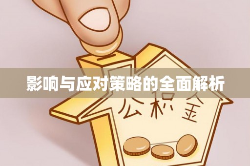辛集影响与应对策略的全面解析