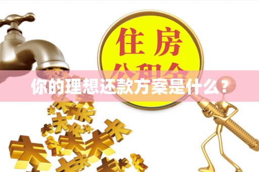 辛集你的理想还款方案是什么？