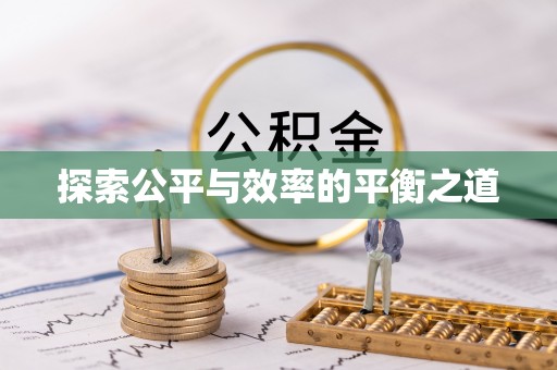 辛集探索公平与效率的平衡之道