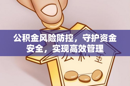 辛集公积金风险防控，守护资金安全，实现高效管理