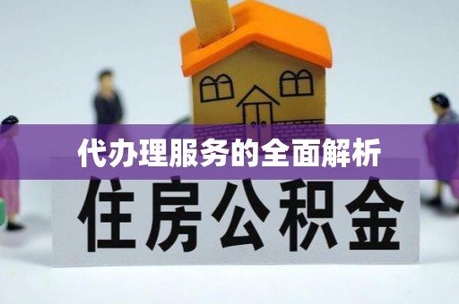 辛集代办理服务的全面解析