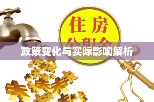 辛集政策变化与实际影响解析