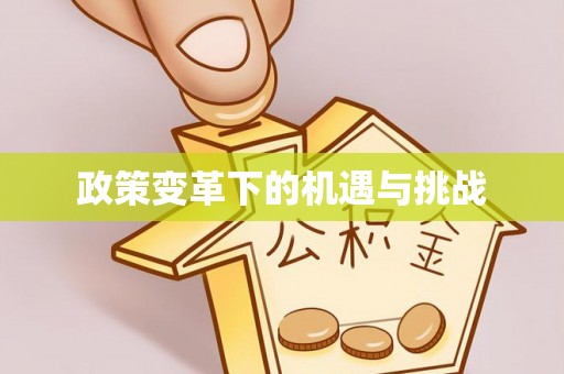 辛集政策变革下的机遇与挑战