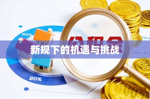 辛集新规下的机遇与挑战