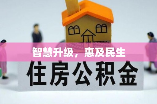 辛集智慧升级，惠及民生