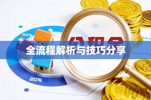 辛集全流程解析与技巧分享