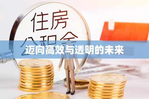 辛集迈向高效与透明的未来