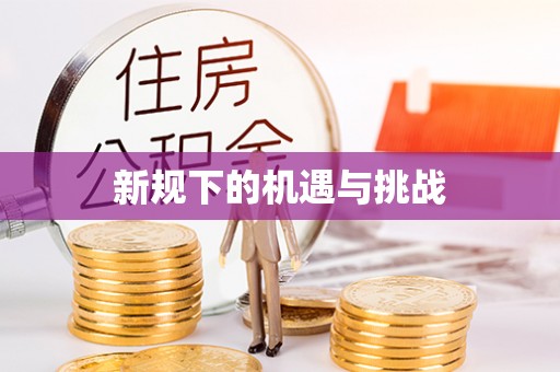 辛集新规下的机遇与挑战