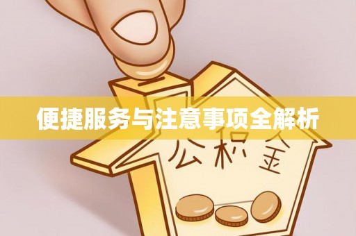 辛集便捷服务与注意事项全解析