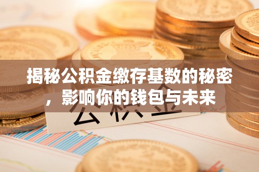 辛集揭秘公积金缴存基数的秘密，影响你的钱包与未来