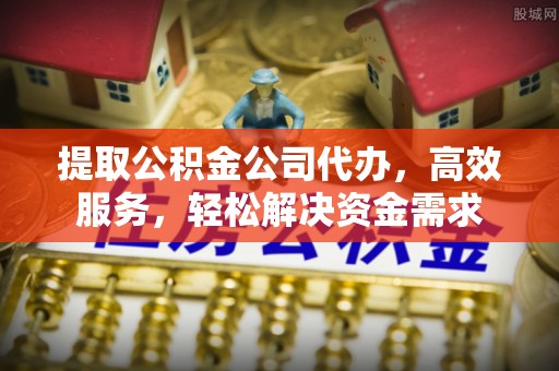 辛集提取公积金公司代办，高效服务，轻松解决资金需求
