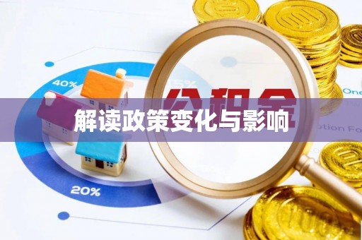 辛集解读政策变化与影响
