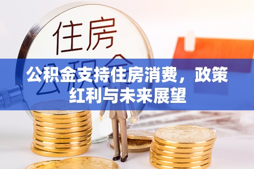 辛集公积金支持住房消费，政策红利与未来展望