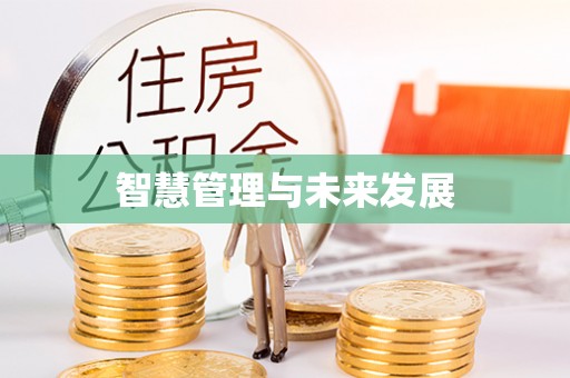 辛集智慧管理与未来发展