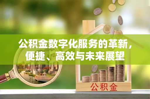 辛集公积金数字化服务的革新，便捷、高效与未来展望