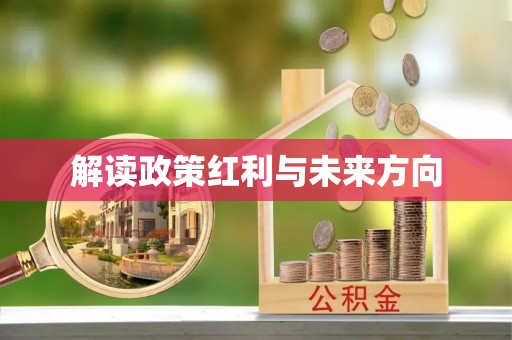 辛集解读政策红利与未来方向