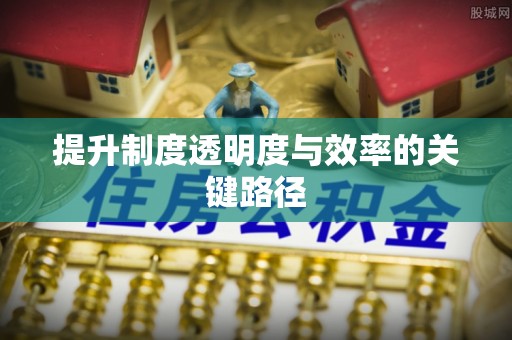 辛集提升制度透明度与效率的关键路径