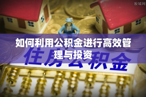 辛集如何利用公积金进行高效管理与投资