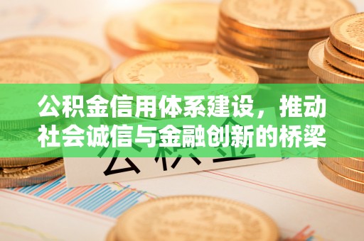 辛集公积金信用体系建设，推动社会诚信与金融创新的桥梁