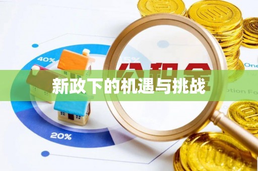 辛集新政下的机遇与挑战