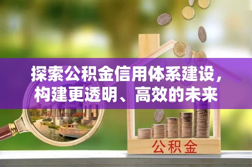 辛集探索公积金信用体系建设，构建更透明、高效的未来