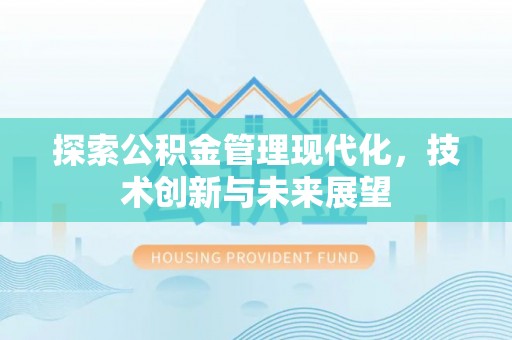 辛集探索公积金管理现代化，技术创新与未来展望