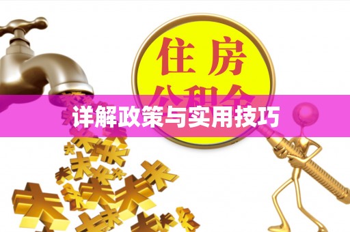 辛集详解政策与实用技巧