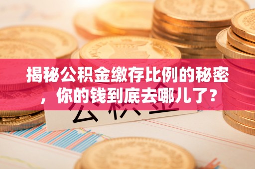 辛集揭秘公积金缴存比例的秘密，你的钱到底去哪儿了？