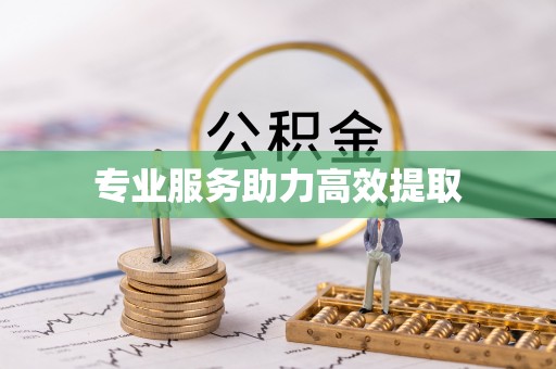 辛集专业服务助力高效提取