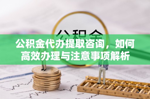 辛集公积金代办提取咨询，如何高效办理与注意事项解析