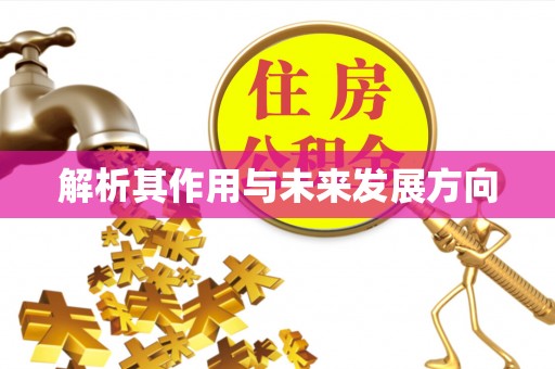 辛集解析其作用与未来发展方向