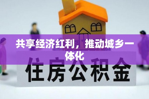 辛集共享经济红利，推动城乡一体化
