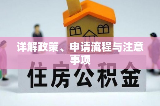 辛集详解政策、申请流程与注意事项