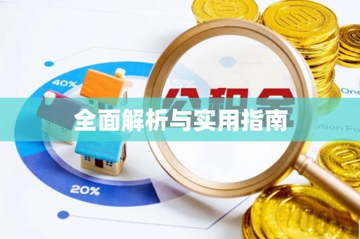 辛集全面解析与实用指南